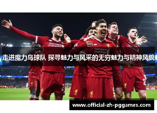 走进魔力鸟球队 探寻魅力与风采的无穷魅力与精神风貌 走进魔力鸟球队 探寻魅力与风采的无穷魅力与精神风貌